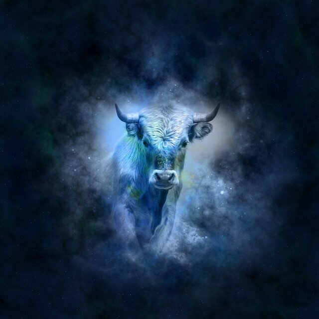 Taurus zodiac symbol