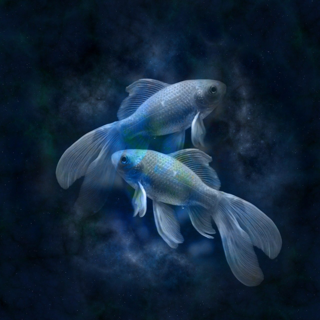 Pisces zodiac symbol