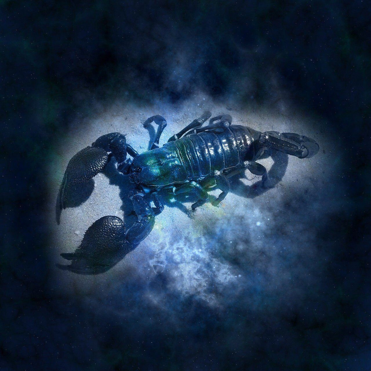 Scorpio zodiac symbol