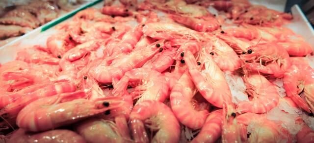 Radioactive Shrimp Recall Leaves U.S. Seafood Industry on Edge
